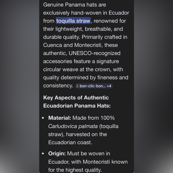 Stylish Hand woven Panama Straw Hat for Women - NWOT - Picture 6 of 6